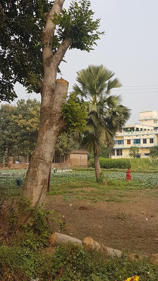 Ansari House Bodh Gaya Exterior foto
