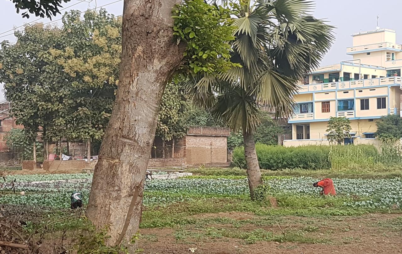 Ansari House Bodh Gaya Exterior foto